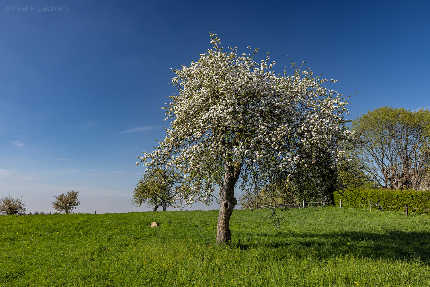 Leverkusen Neuboddenberg