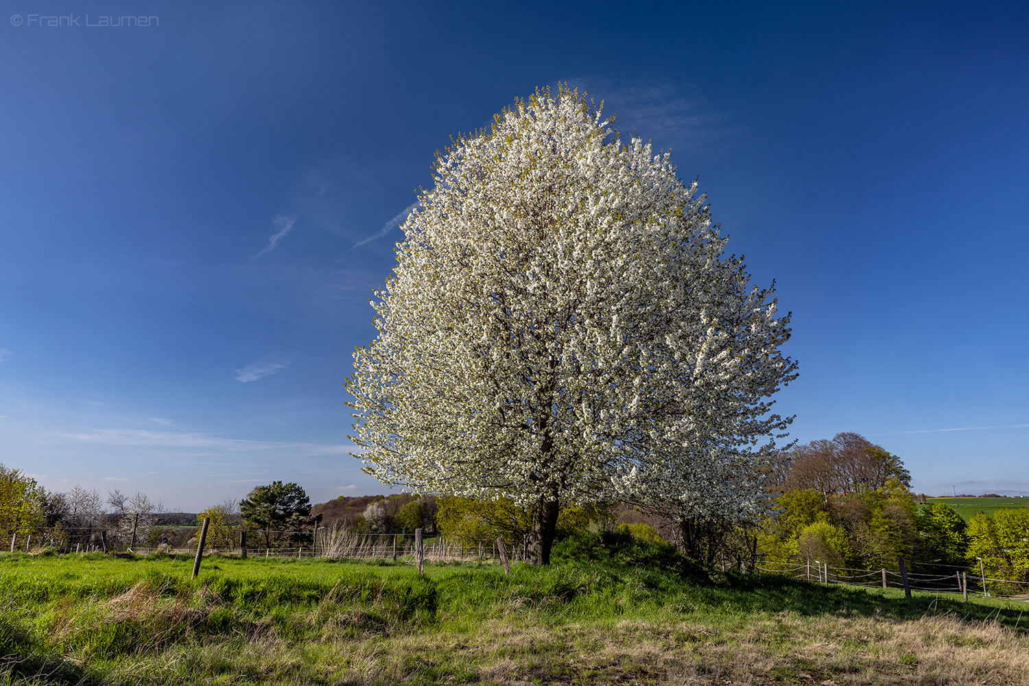 Leverkusen Neuboddenberg