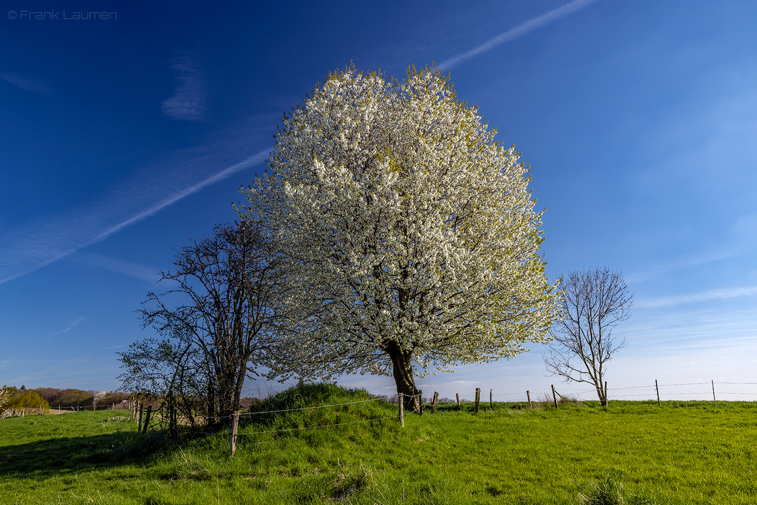 Leverkusen Neuboddenberg