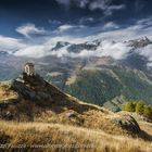 Levionnaz Parco Nazionale GranParadiso