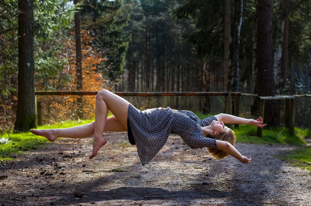 Levitation Forest