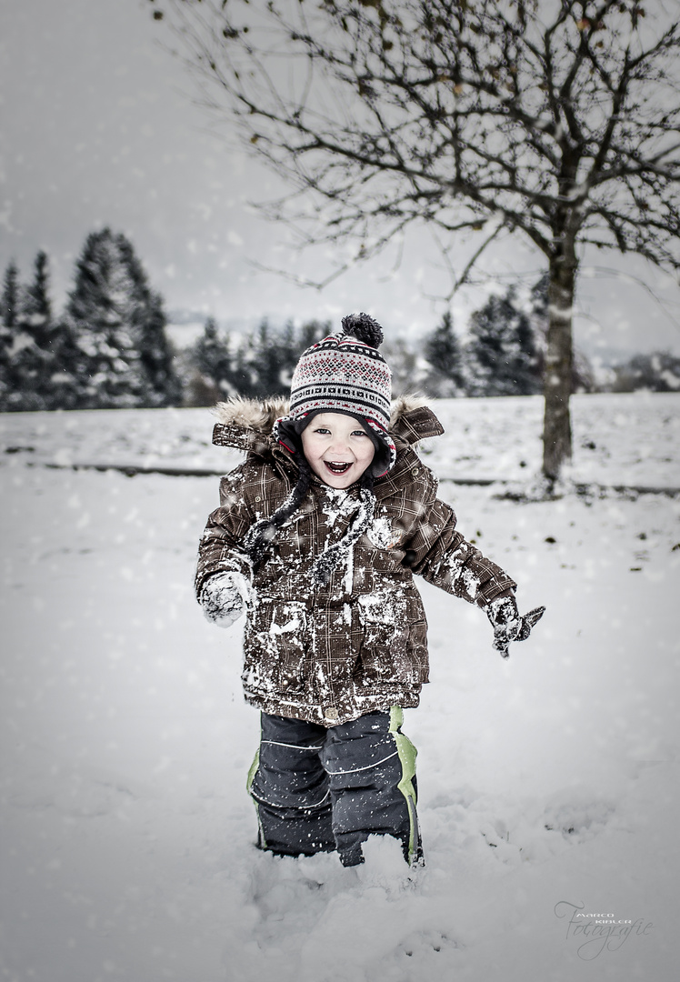 Lewin rennt im Schnee