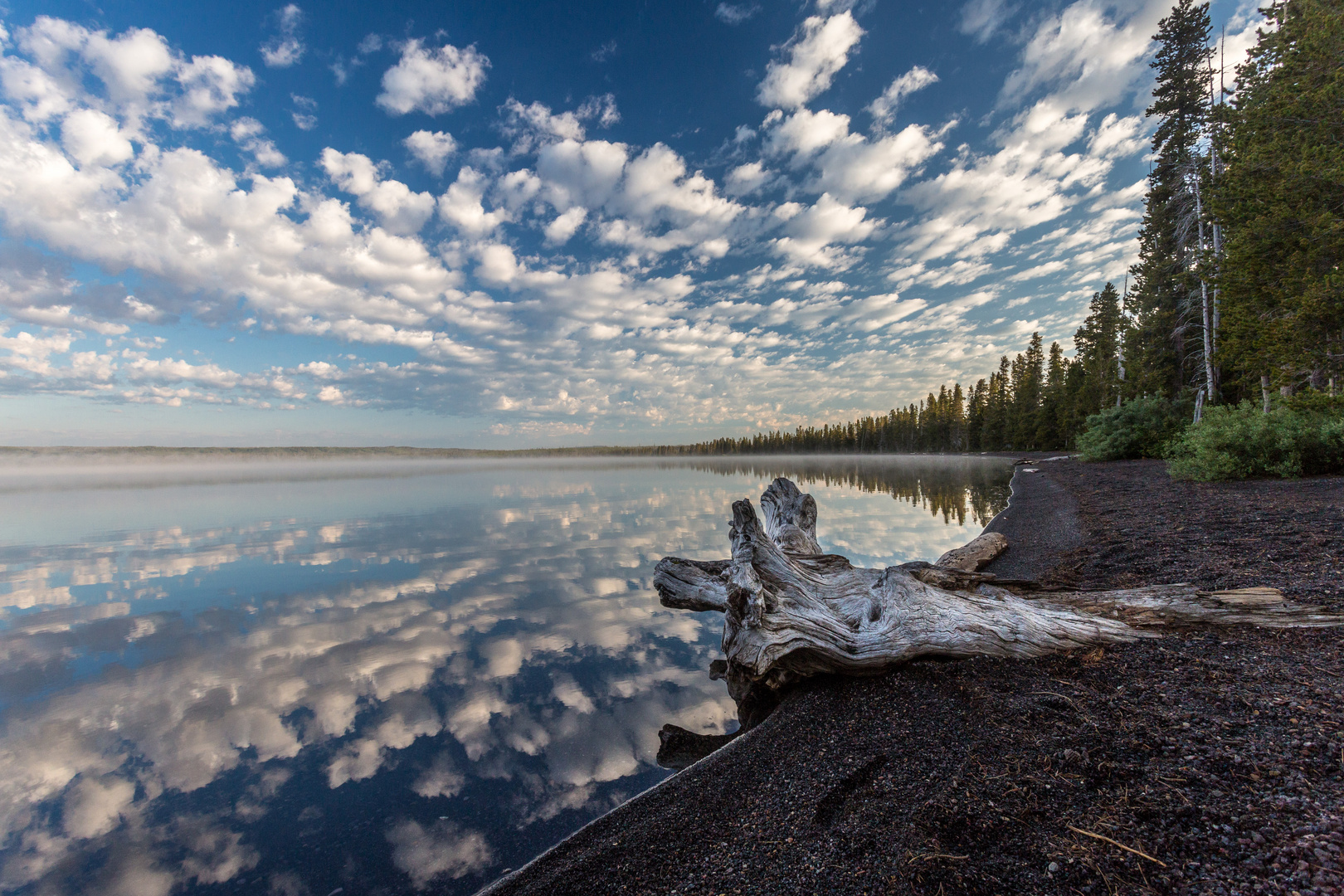 Lewis Lake / Yellowstone