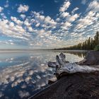 Lewis Lake / Yellowstone