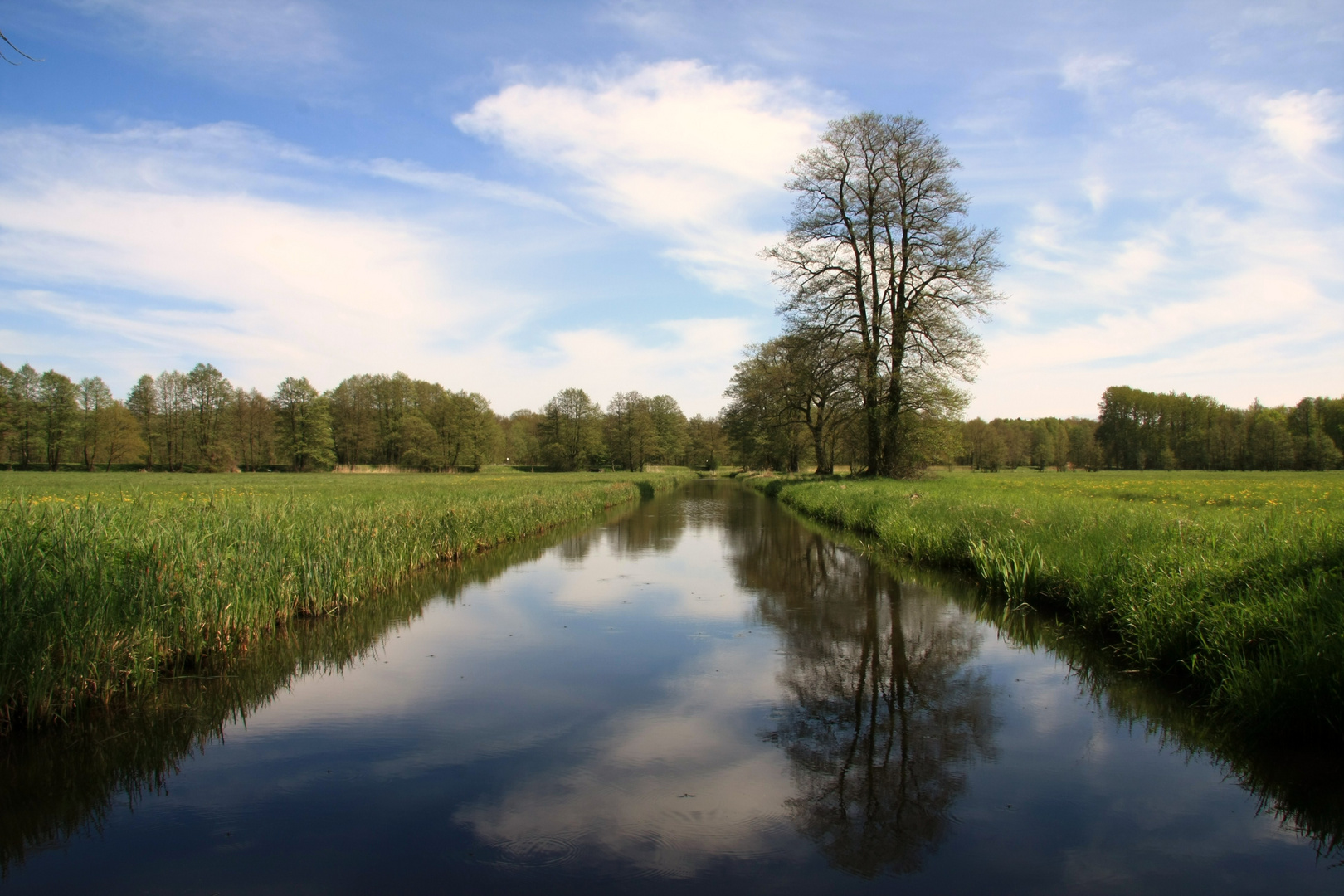 LEWITZ-TOUR 2010 SPIEGELUNG