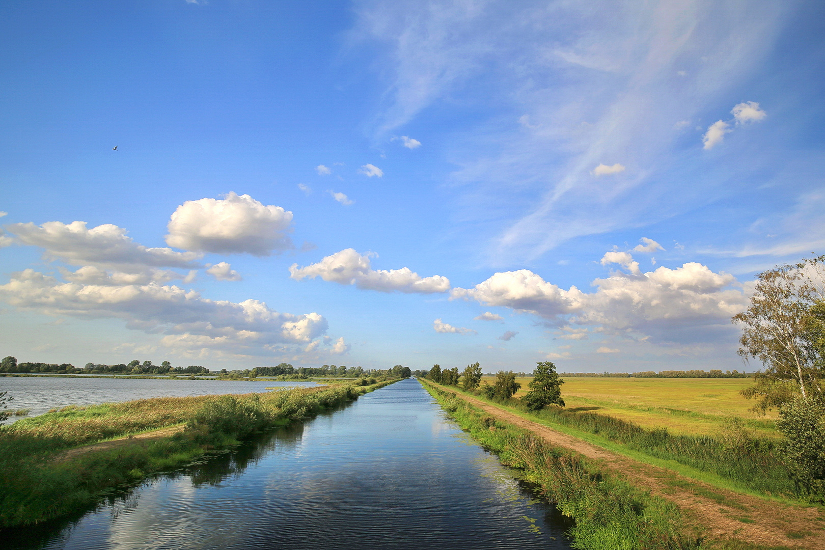 Lewitzblick