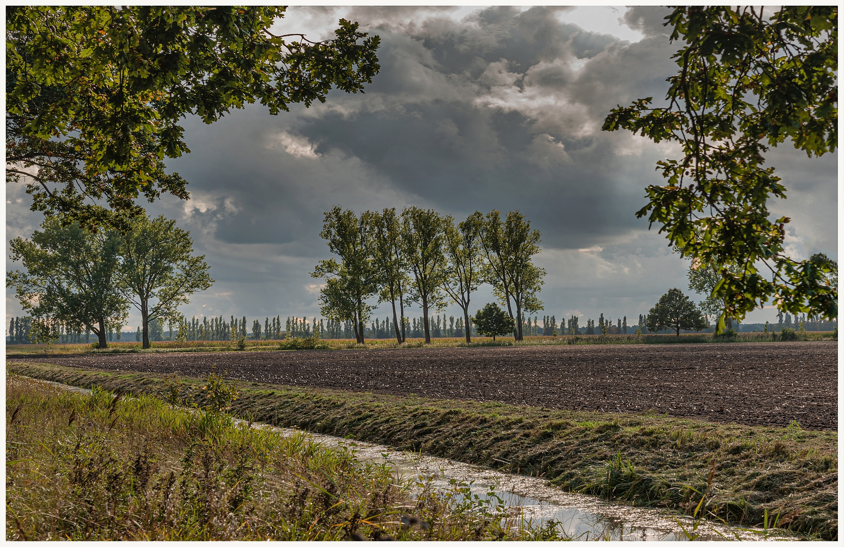 Lewitzer Landschaft 3