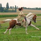 Lewitzerhengst Pares - mal anders