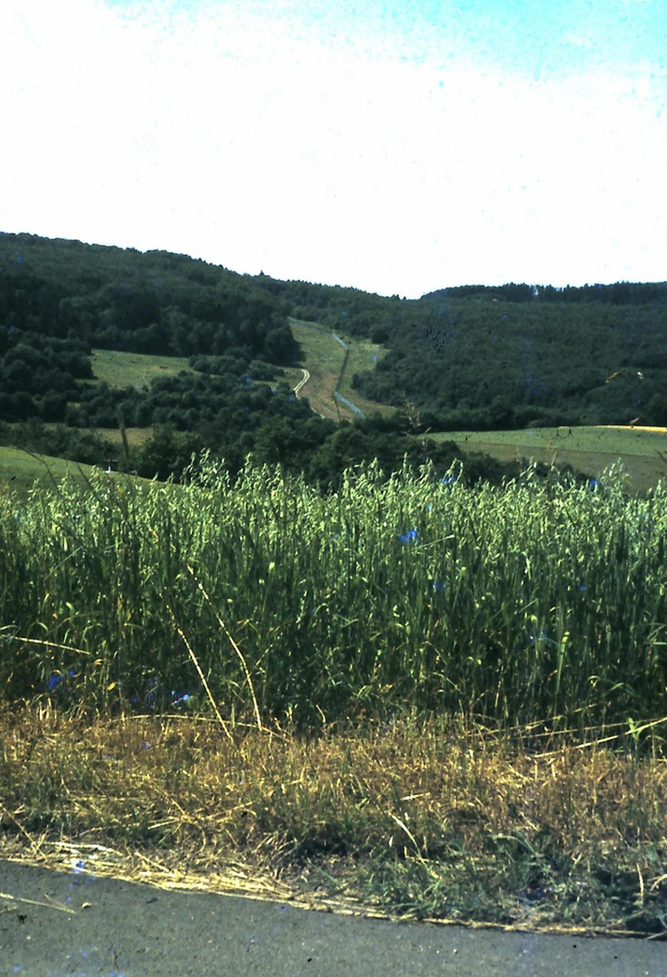 L'ex-frontière (2)