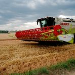 Lexion 600
