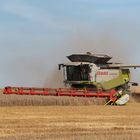 Lexion 600