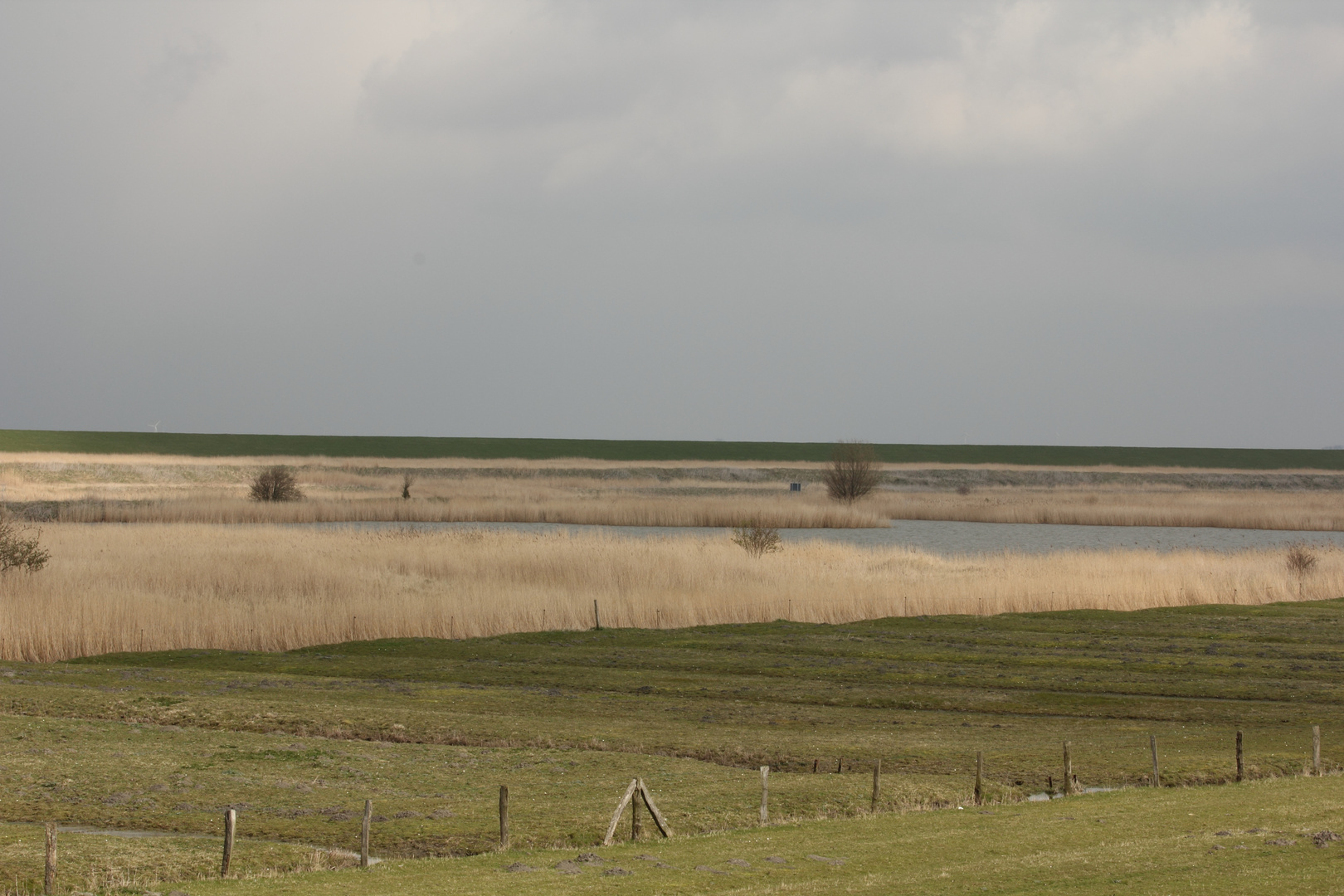 Leybucht Ostfriesland