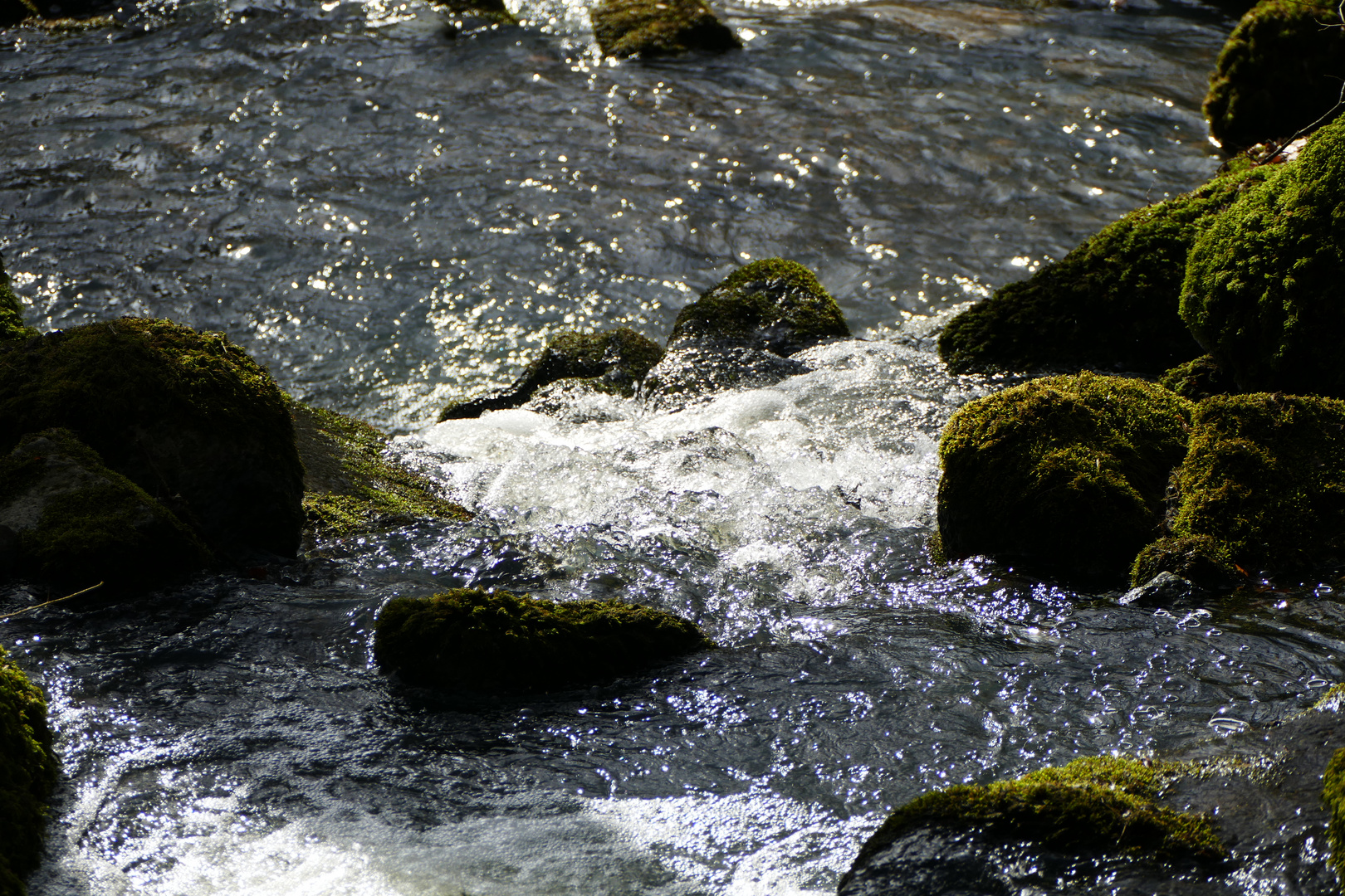 Leyenbach-Wasserfall (2)