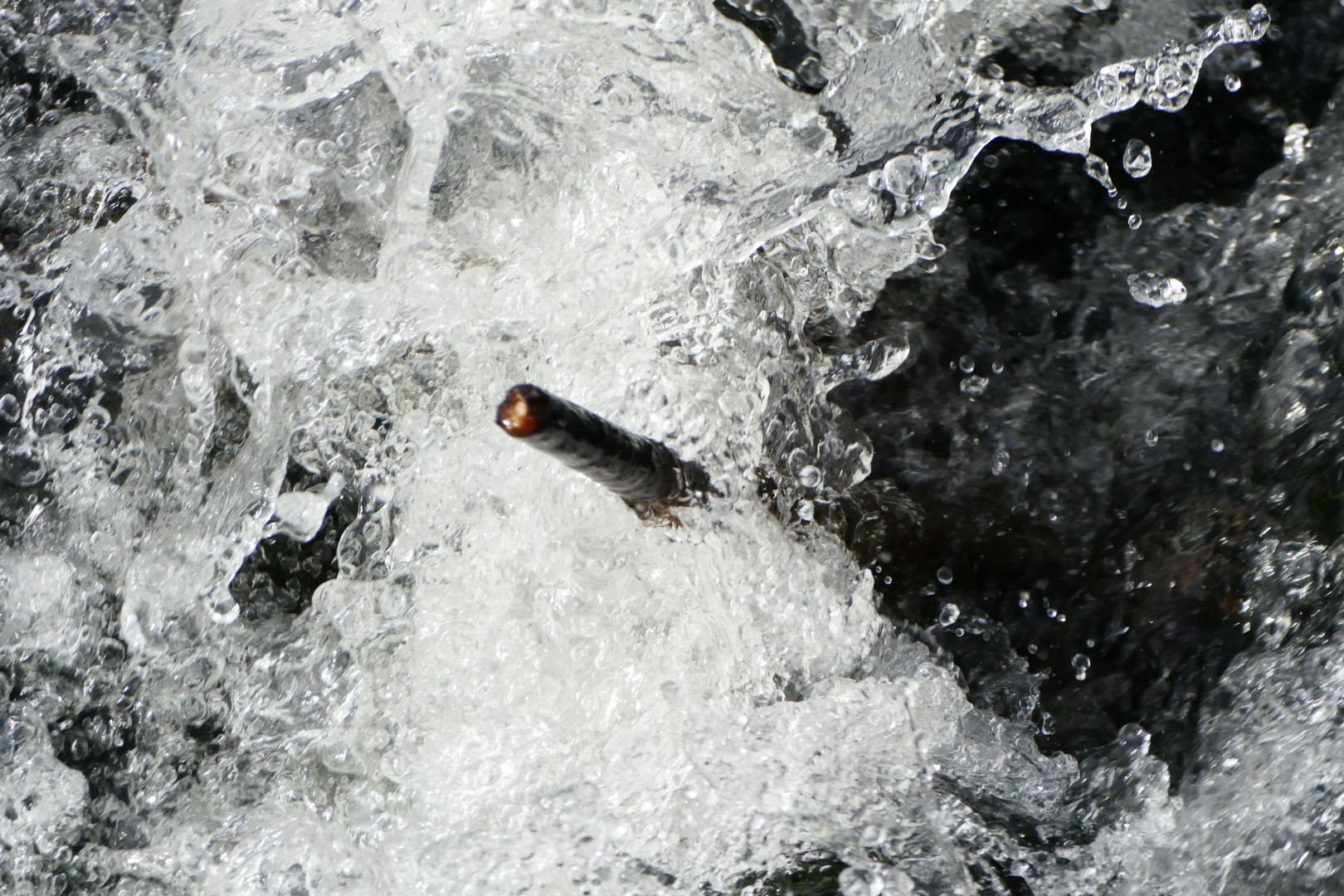 Leyenbach-Wasserfall (3)