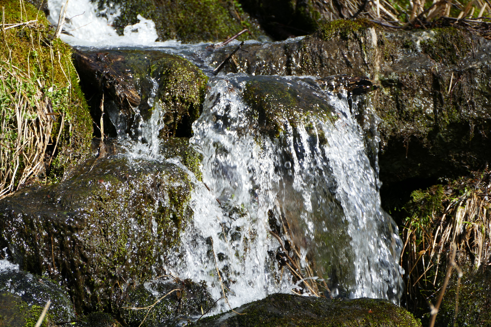 Leyenbach-Wasserfall (4)