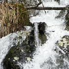 Leyenbach-Wasserfall (5)