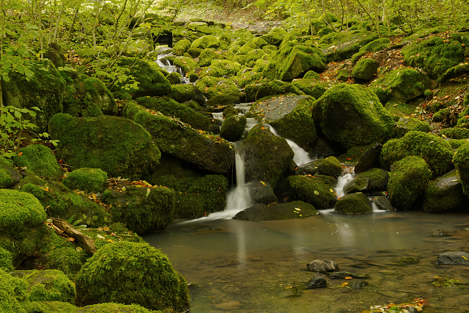 Leyenbach-Wasserfall Odersberg 