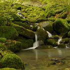 Leyenbach-Wasserfall Odersberg 