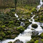 Leyenbach Wasserfall...03