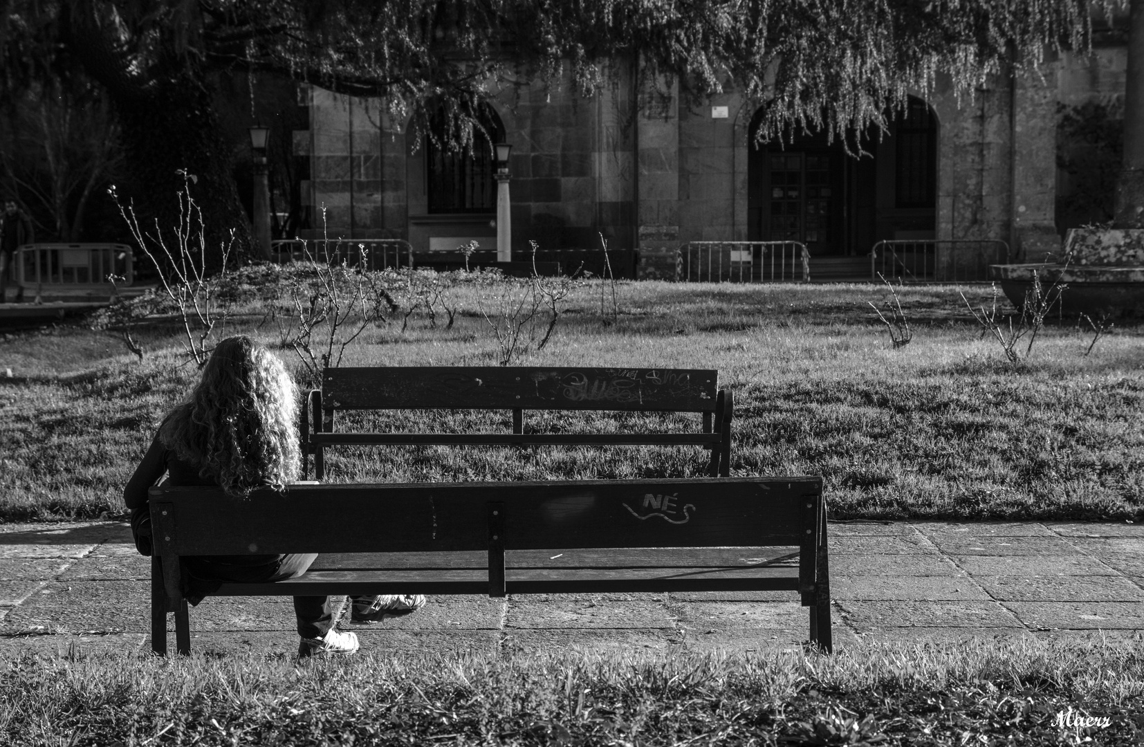 Leyendo al pálido sol del invierno.