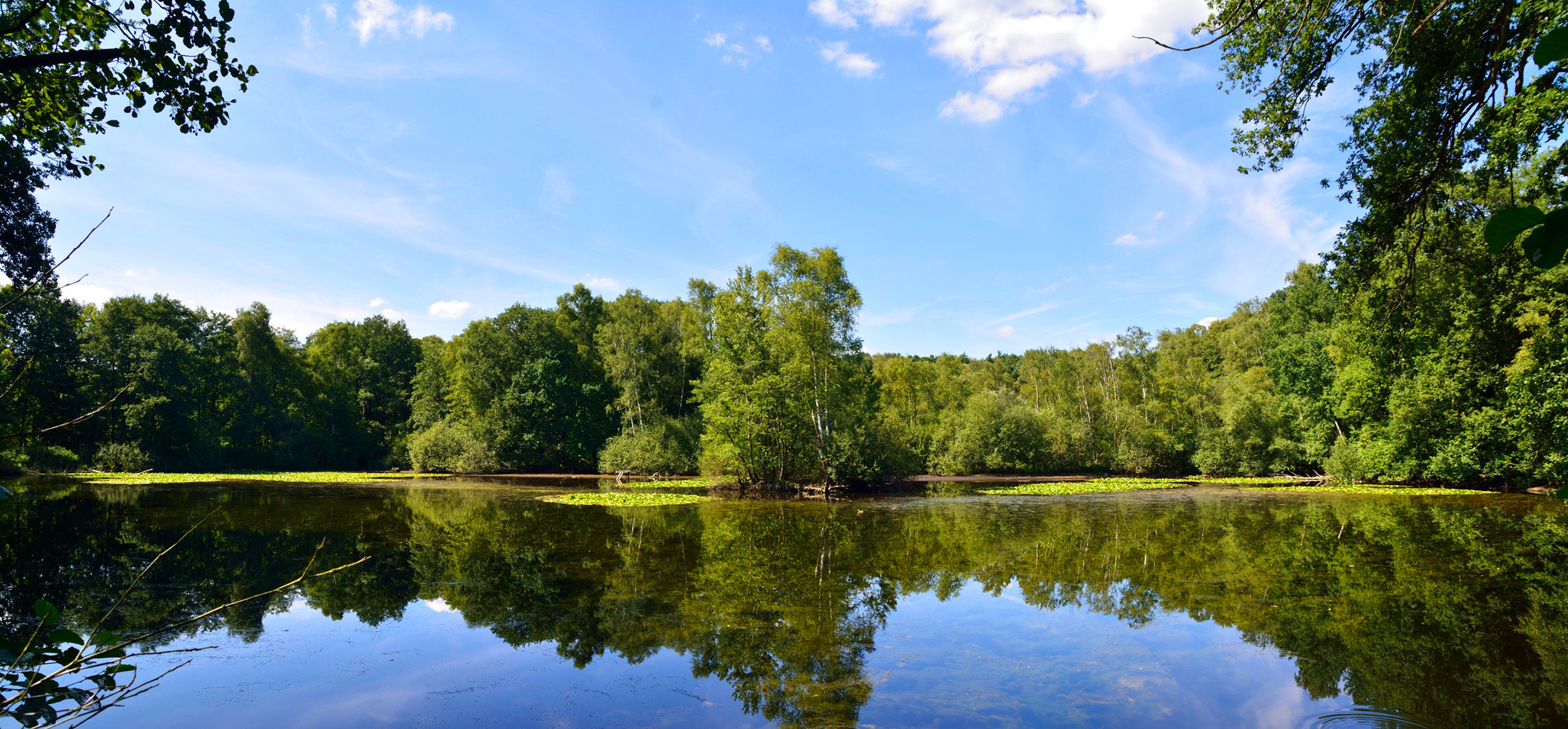 Leyenweiher