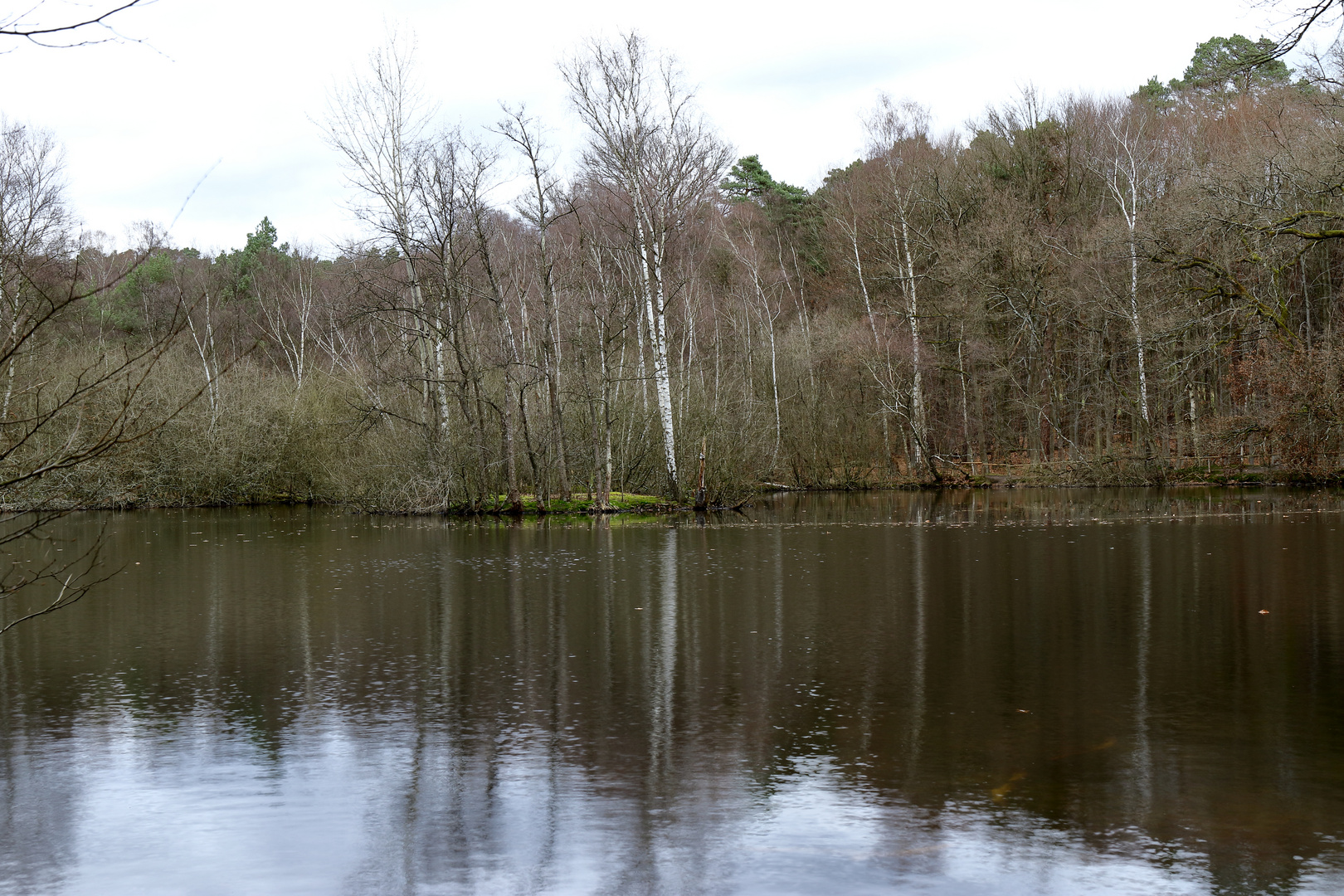 Leyenweiher, Wahner Heide