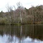 Leyenweiher, Wahner Heide