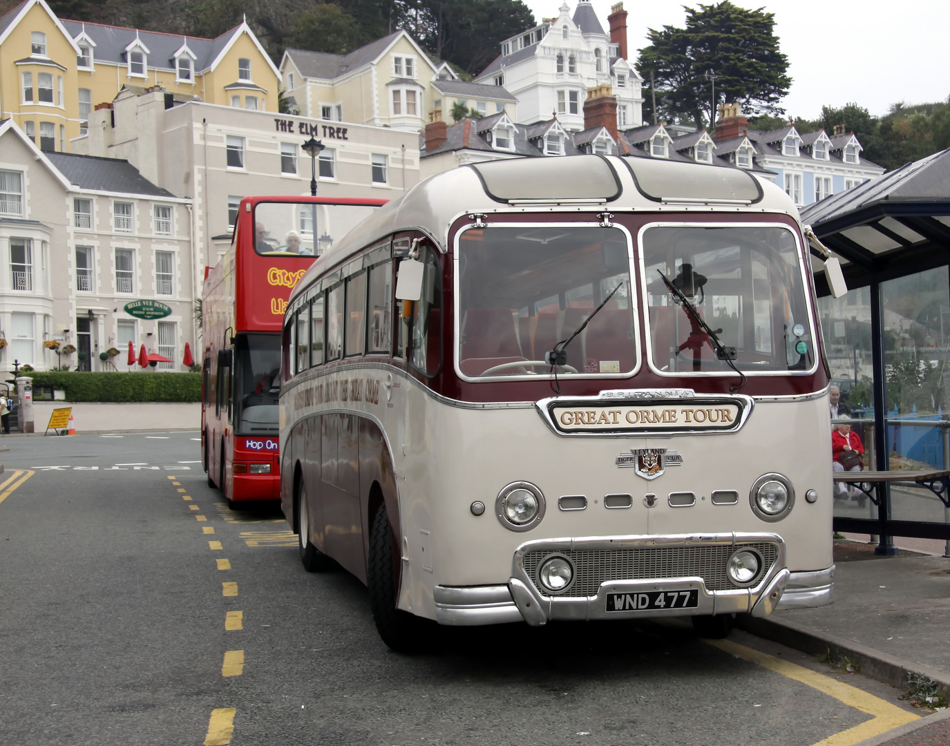 Leyland Tiger Cub 1