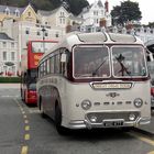 Leyland Tiger Cub 1