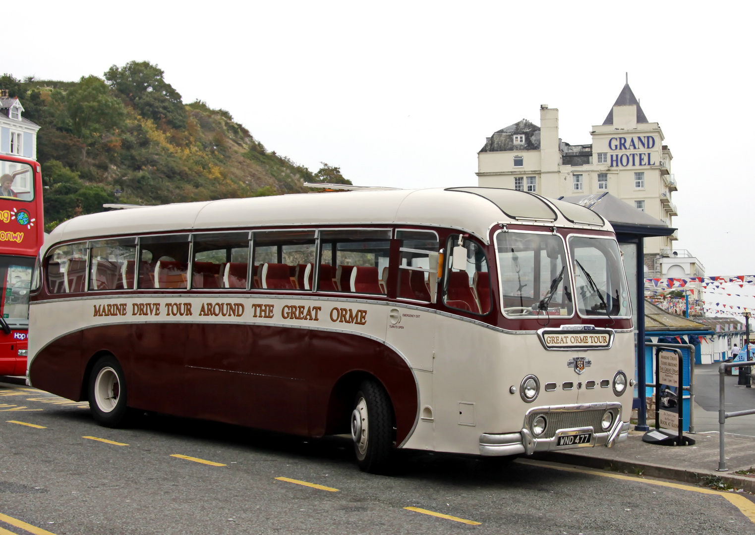 Leyland Tiger Cub 2