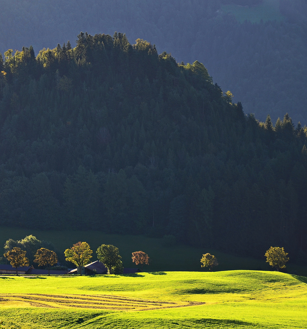 Leysin