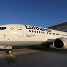 LH 737-500