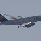 LH A380 #7 D-AIMG