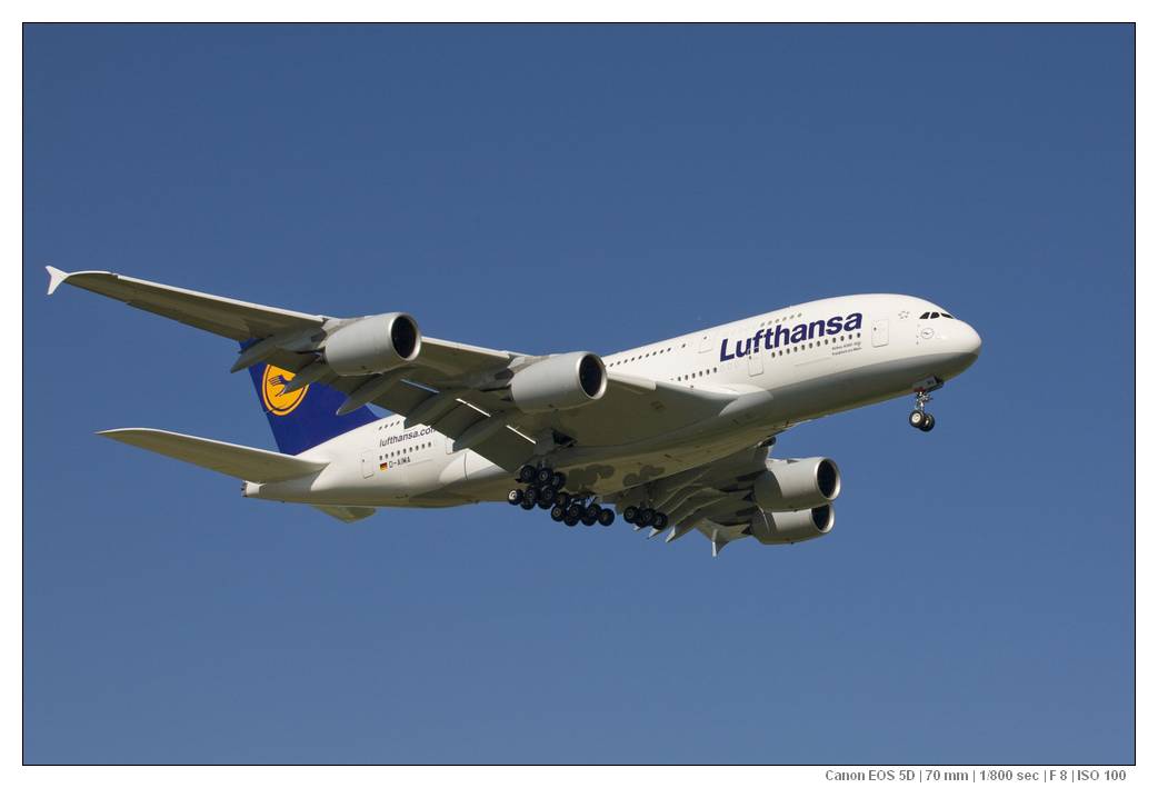 LH A380-800