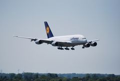 LH A380-800 Frankfurt am Main in Düsseldorf