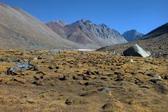 Lhachu valley