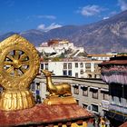 Lhasa 