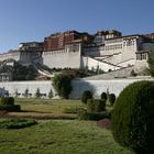 Lhasa Greetings