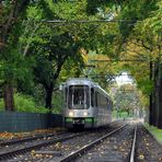 LHB/Siemens TW 2000  (Linie 4 Richtung Roderbruch)