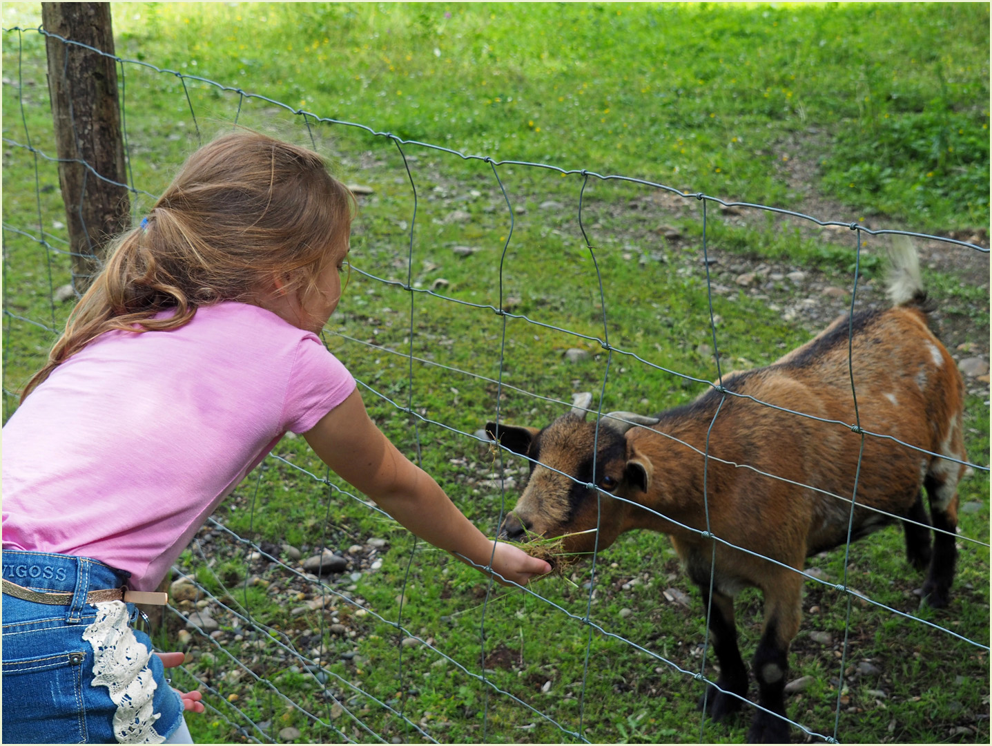 L’herbe est toujours plus verte ailleurs… !