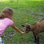 L’herbe est toujours plus verte ailleurs… !