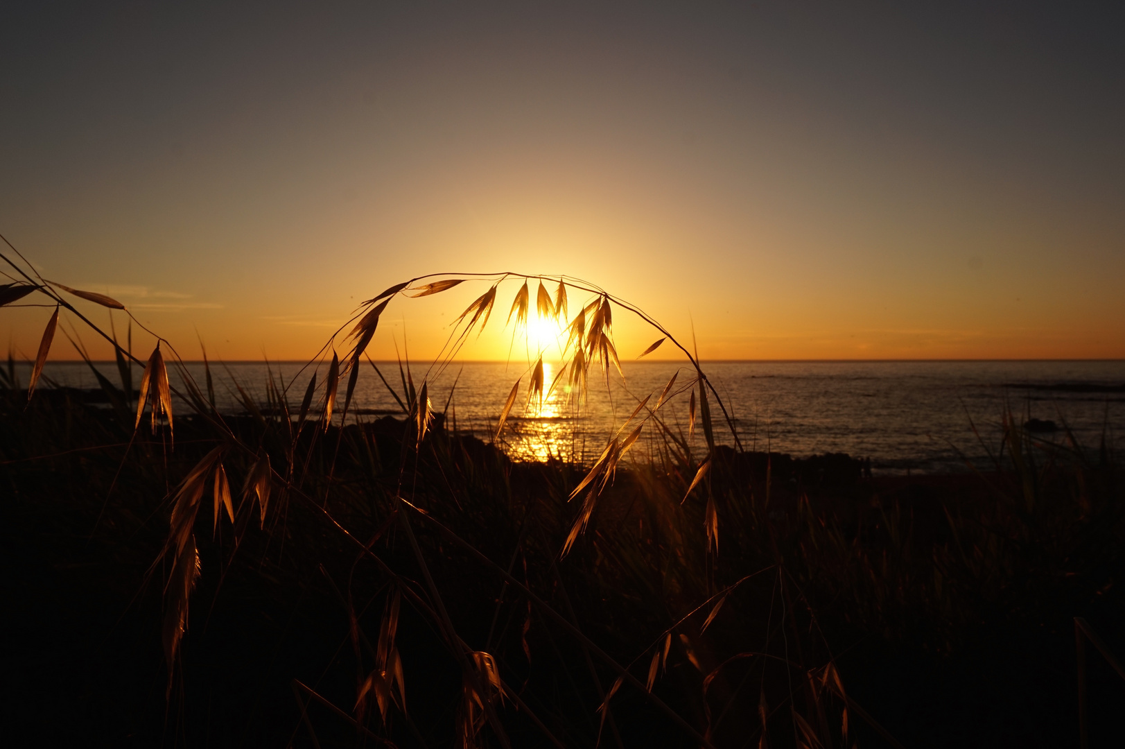 l'herbe et le soleil s'inclinent