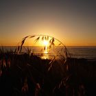 l'herbe et le soleil s'inclinent