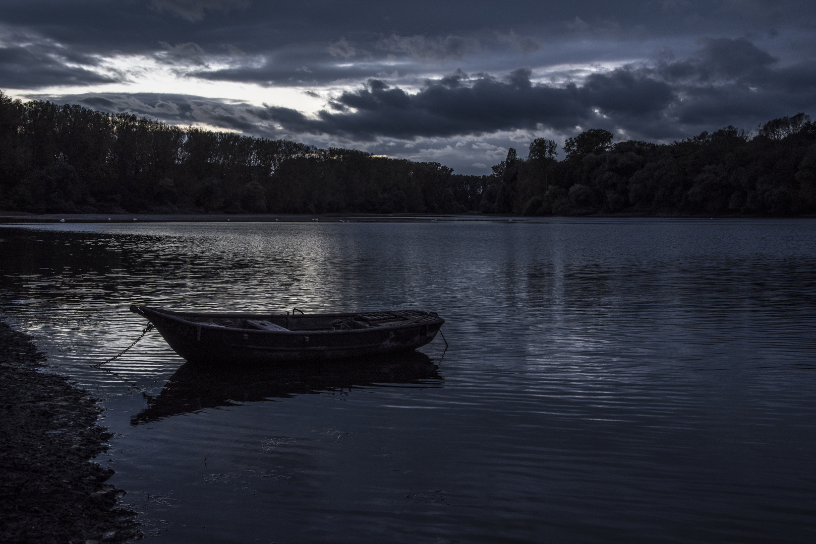 L'heure bleue au Rhin