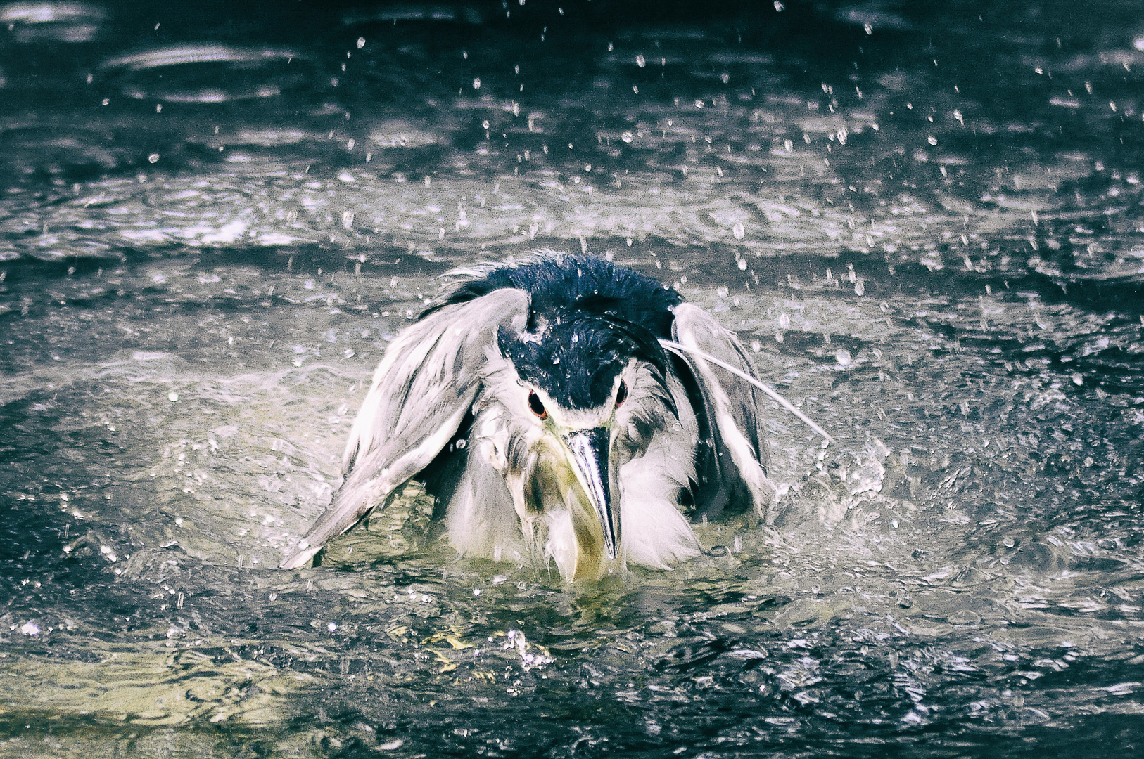 L'heure de la douche