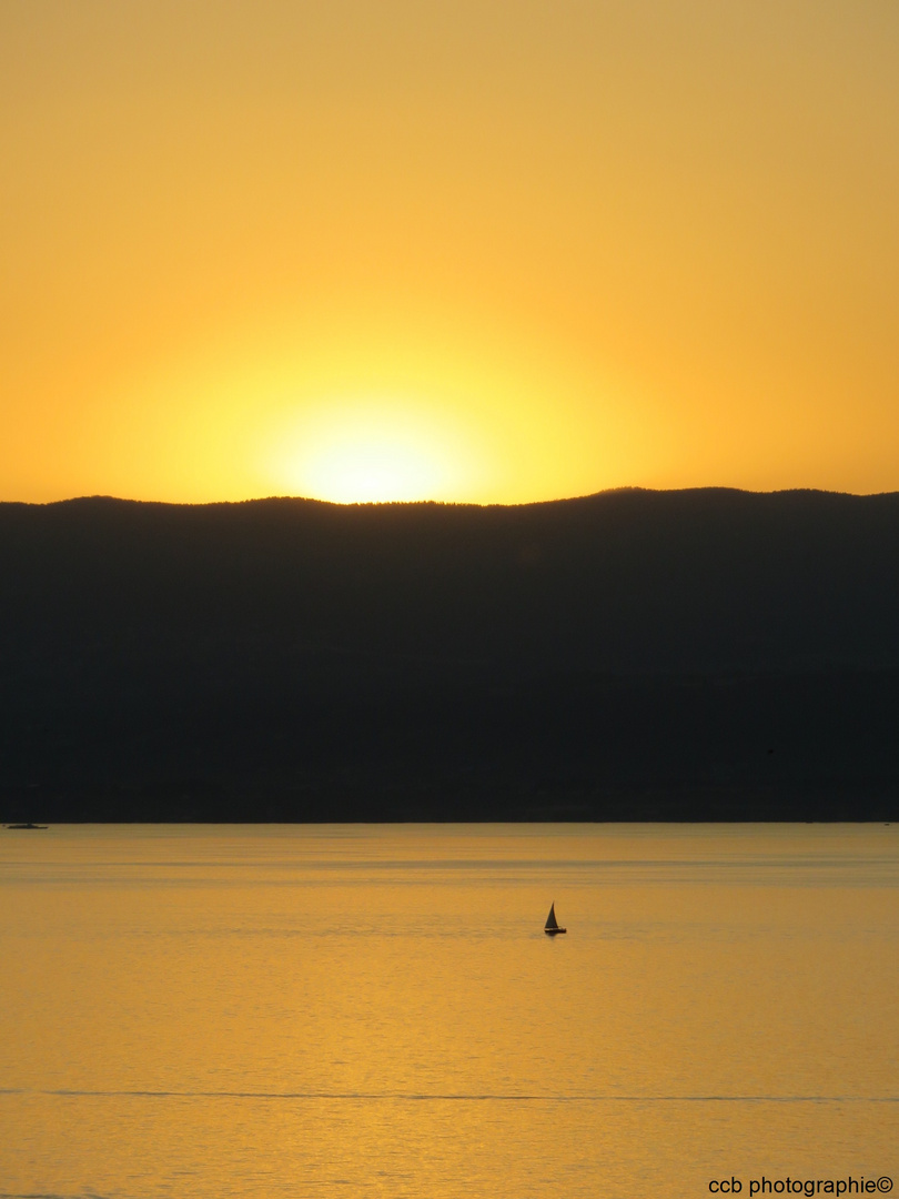 "L'heure dorée sur le Léman"