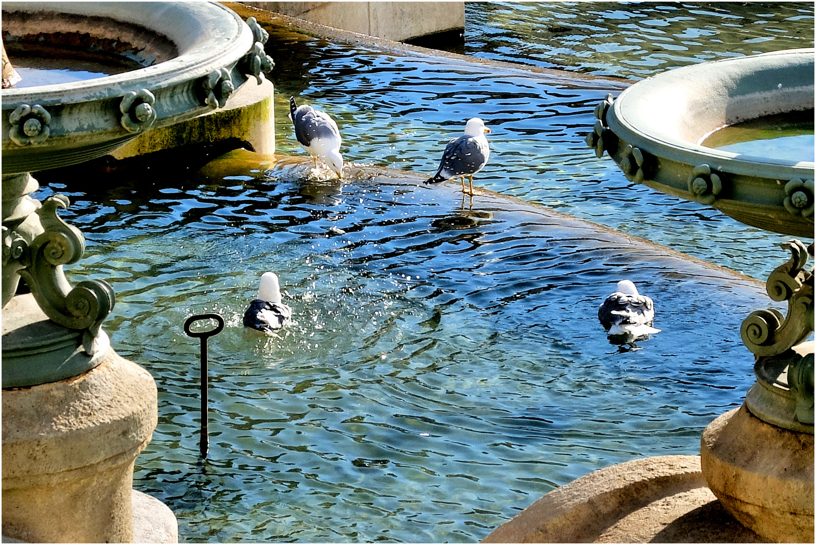 L'heure du bain