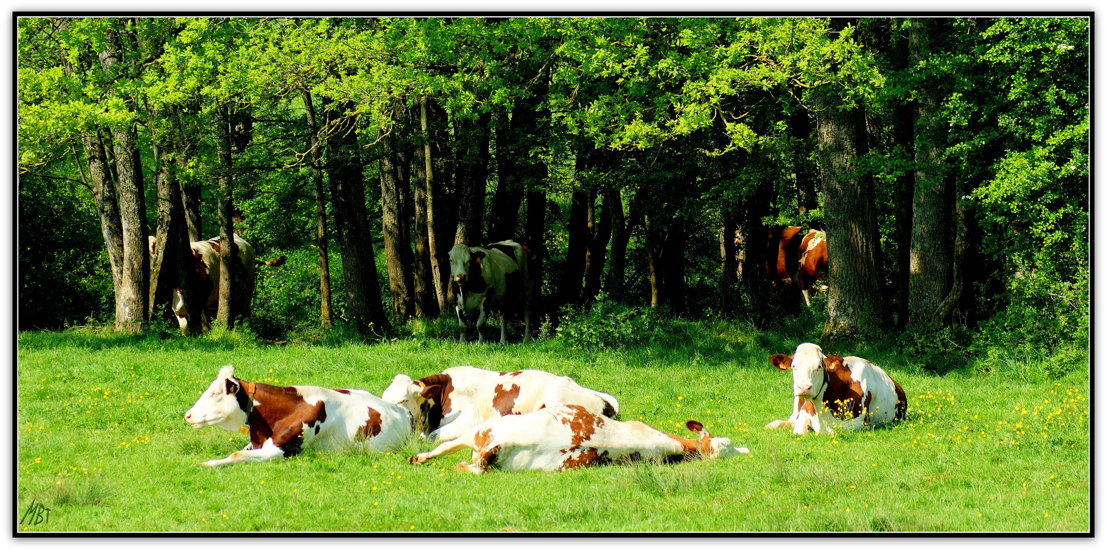 L'heure du repos