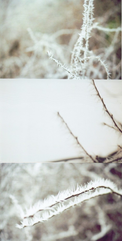 l'hiver 1