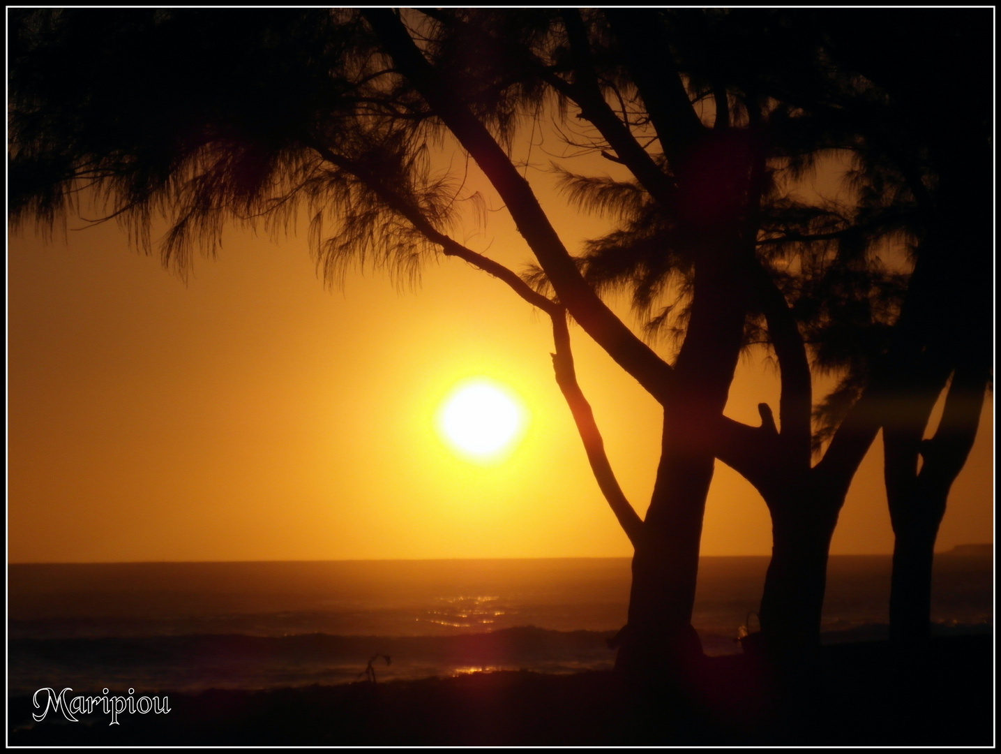 L'hiver à la Réunion